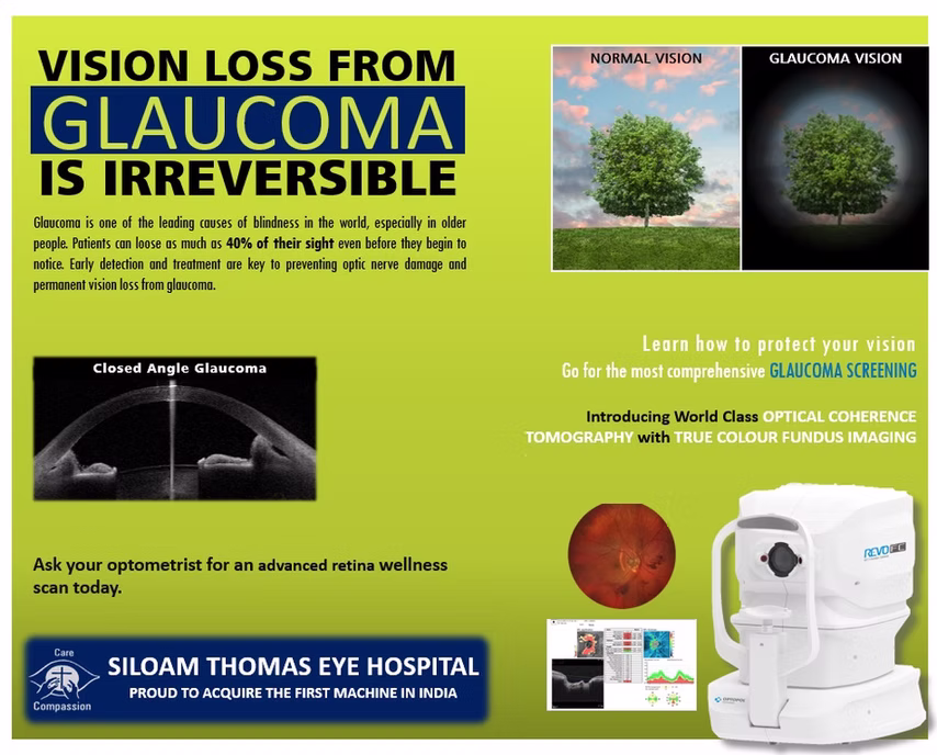 Normal Vision